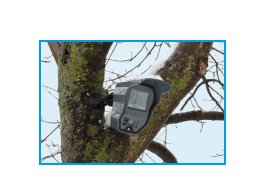 Funkkamera im Baum